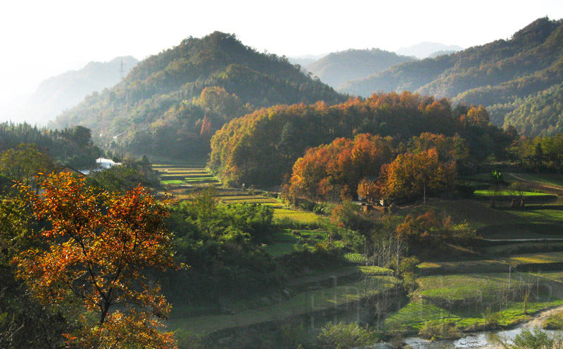 秋山 摄影 由色悟空