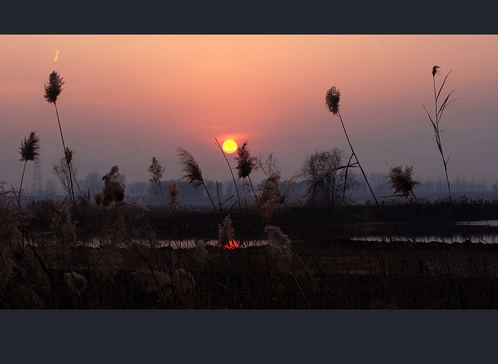 花舞夕阳 摄影 高枕无忧