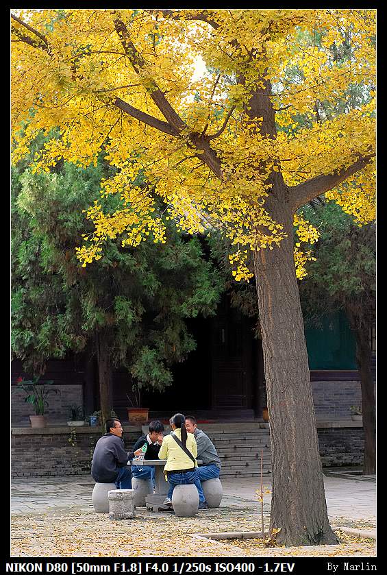 香积寺 摄影 饼干HD