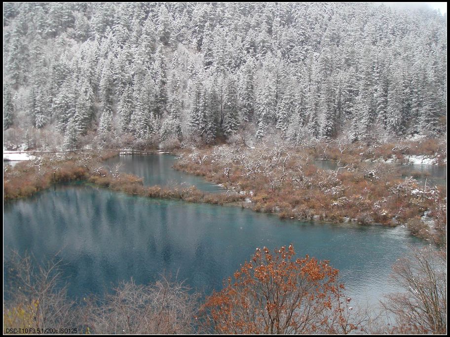 风雪九寨沟--难得一遇的美景 摄影 xj一指禅