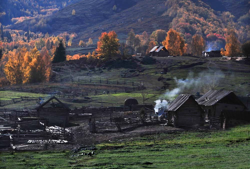 天山牧场 摄影 龙山一夫