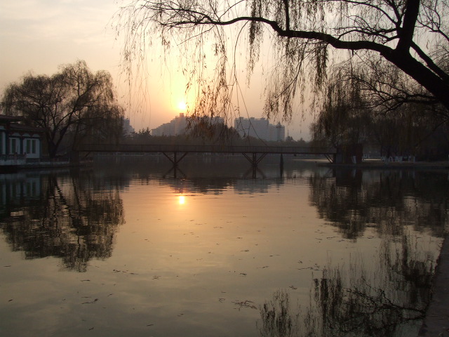 夕阳 摄影 英豪再闲