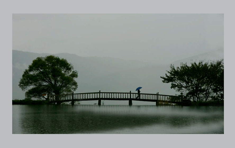 烟雨濛濛 摄影 竹影清影