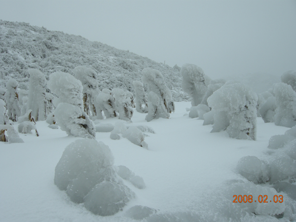 家乡后山雪地上1 摄影 小雨点儿