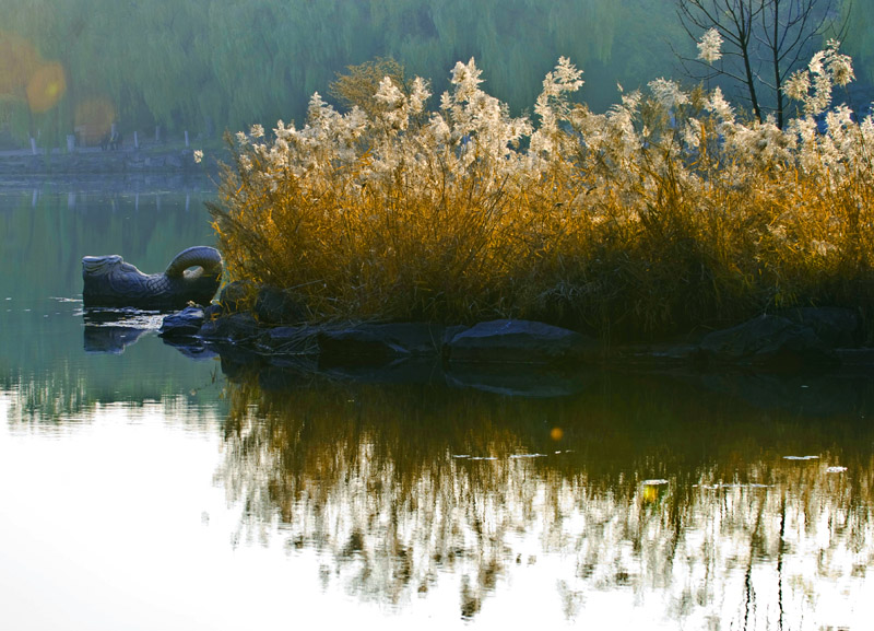 校园小景 摄影 chunlan