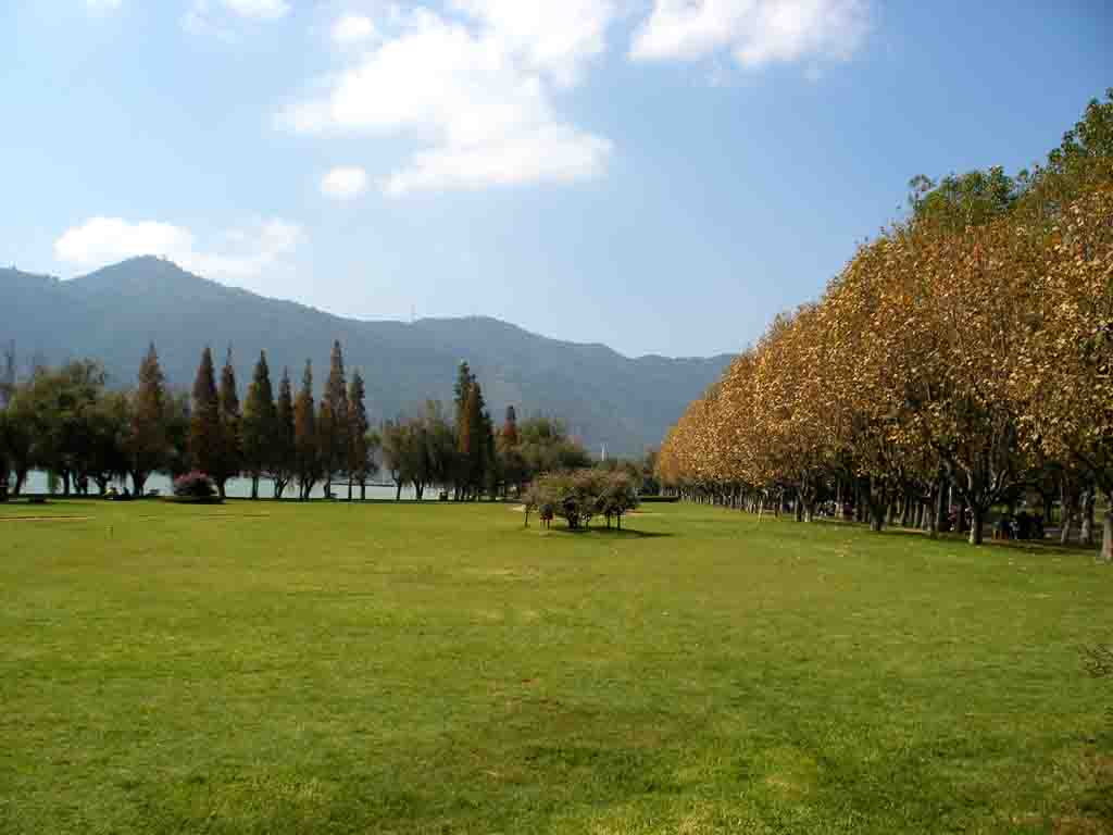 蓝天 草地 摄影 莲心