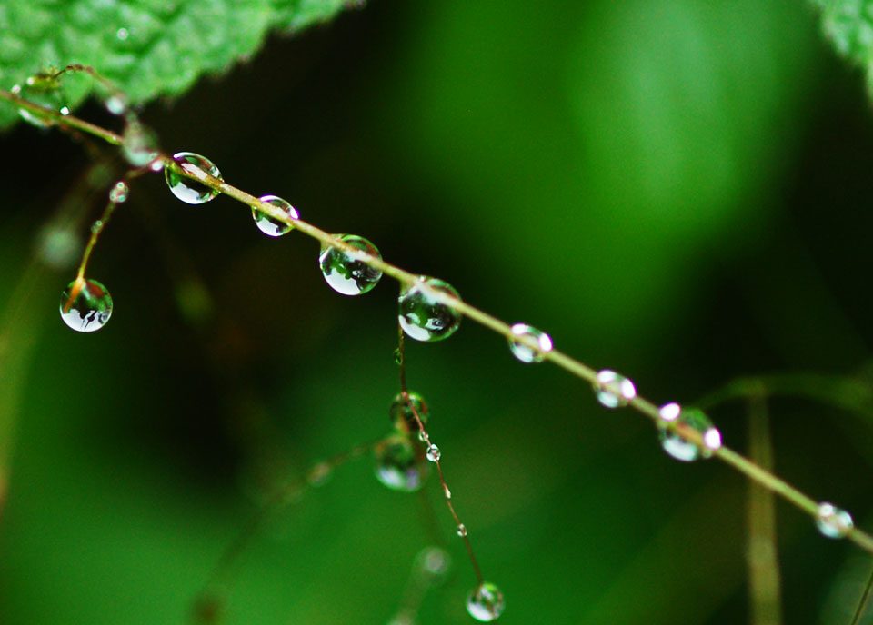 在雨中1 摄影 摄郎四十二度