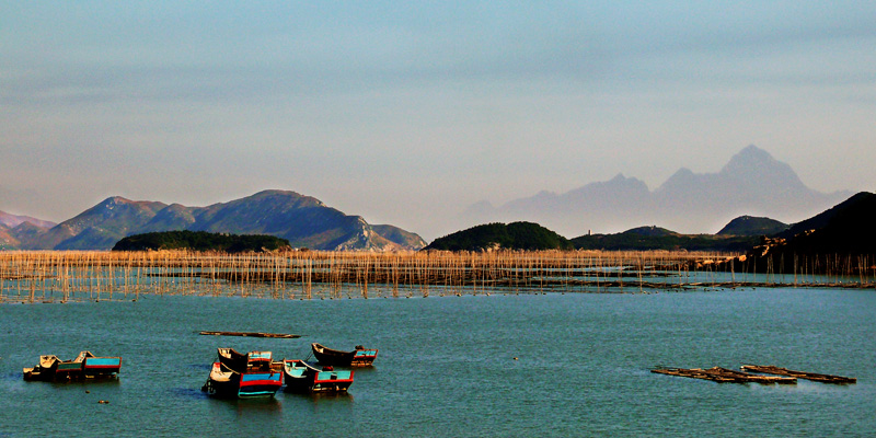 青官司海韵 摄影 海之鸥