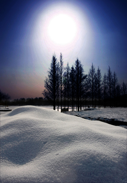 雪  日 摄影 影人在线