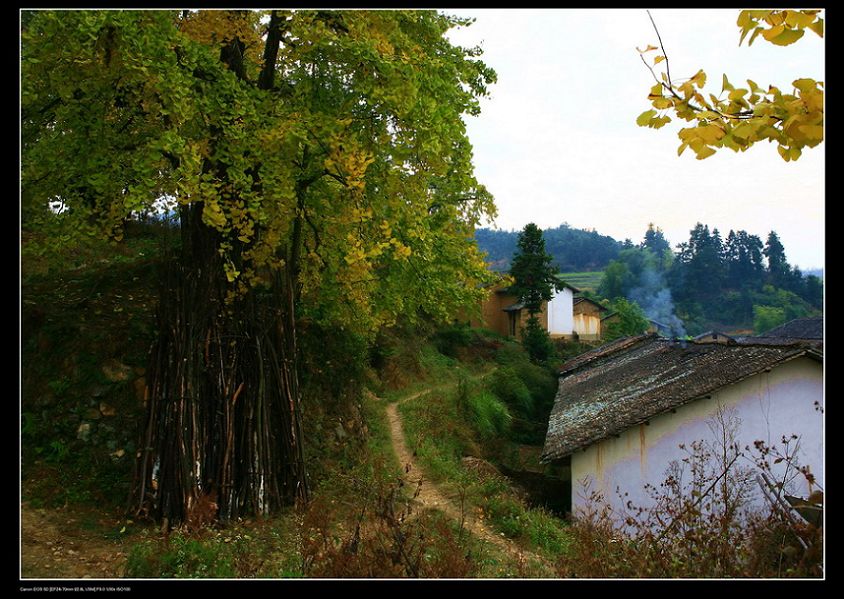 山村 摄影 拂花弄影