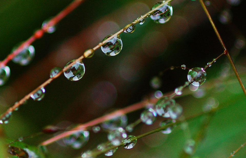 在雨中 2 摄影 摄郎四十二度