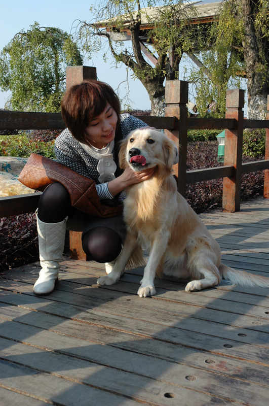 美女与爱撒娇的狗狗4 摄影 雨v季