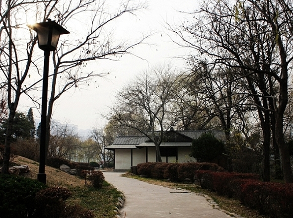 神户园小景 摄影 锦绣江山