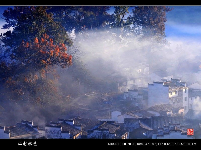 山村秋色 摄影 老秋