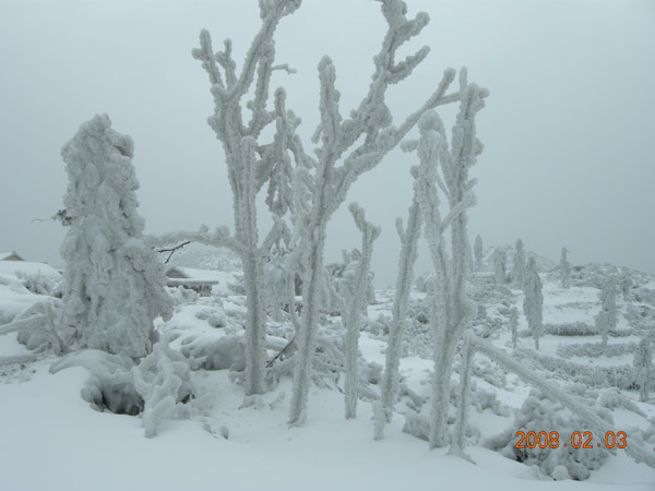 家乡后山雪地上2 摄影 小雨点儿