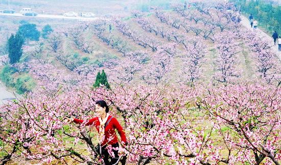 那山更美丽 摄影 陈树伟