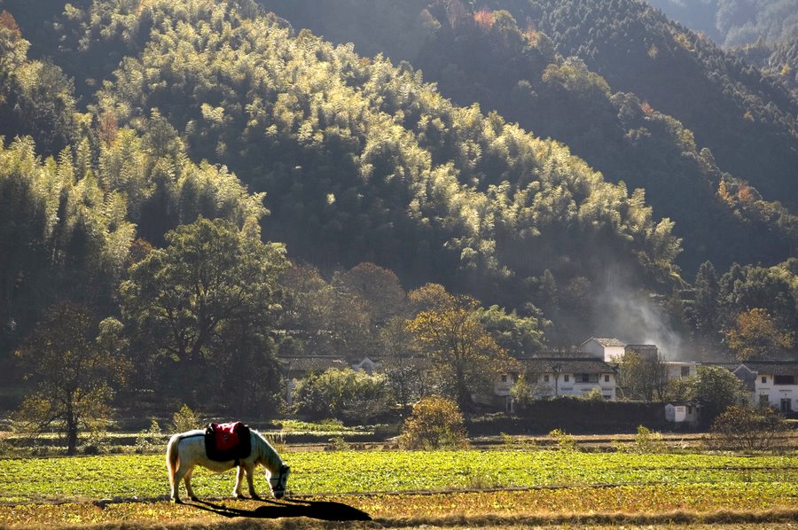 山村小景 摄影 光影老杨