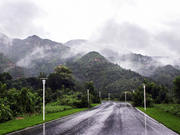 雨  路 摄影 影人在线