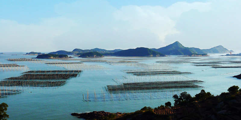 古镇港远眺 摄影 海之鸥