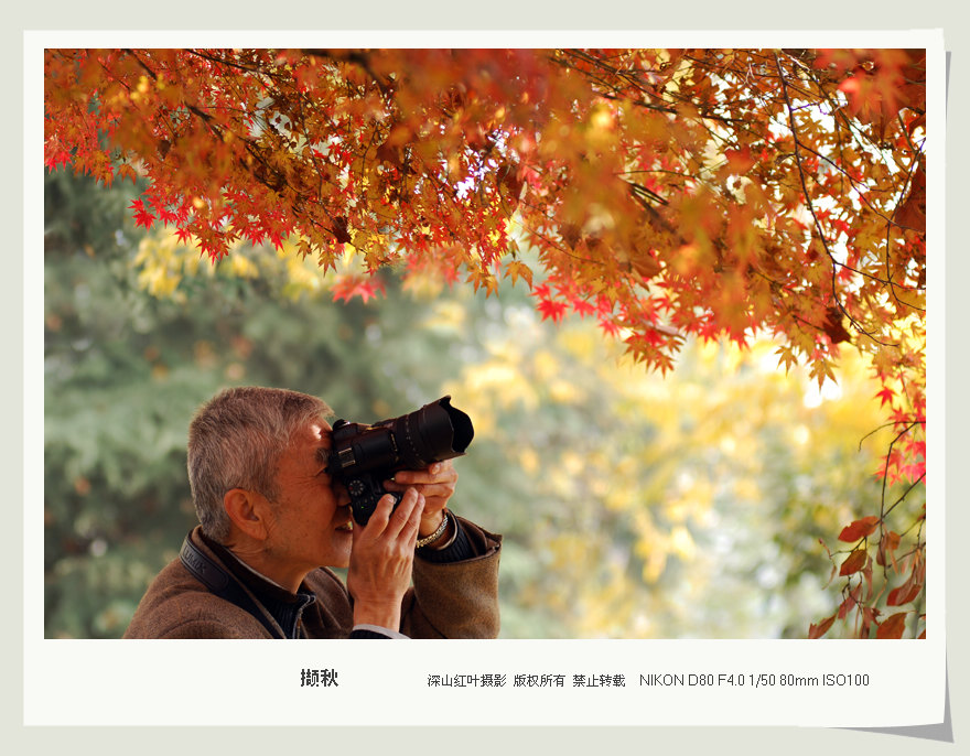 撷秋 摄影 -深山红叶-