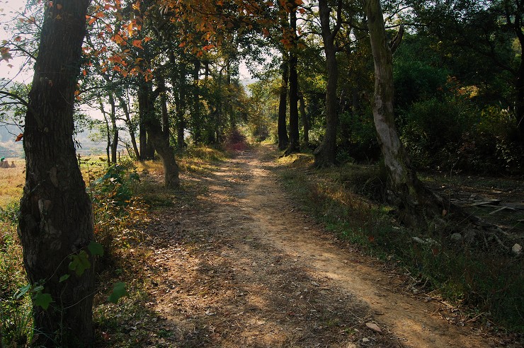 乡间的小路 摄影 云山西河