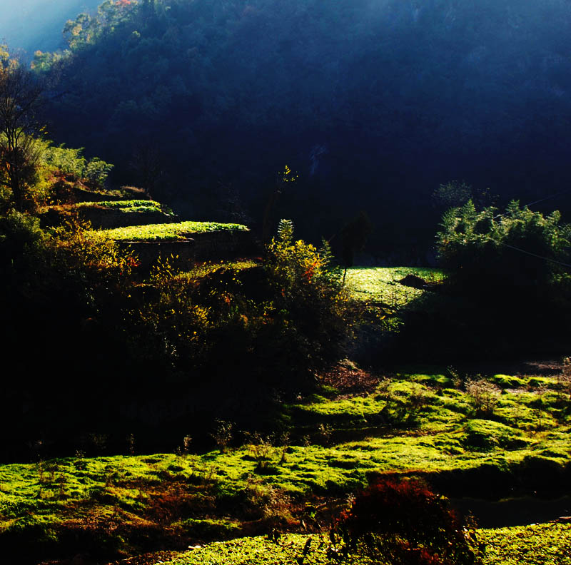 山村岗地 摄影 厨师解围腰