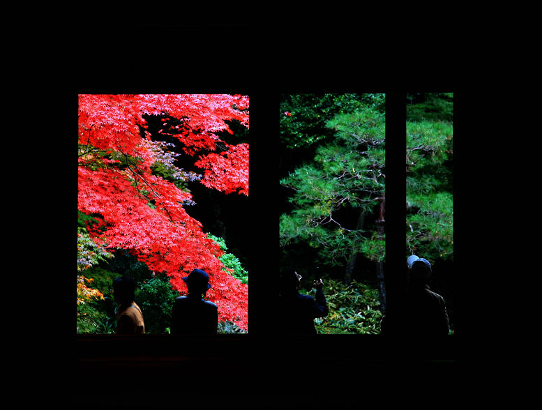 京都紅葉 摄影 感伤的行旅