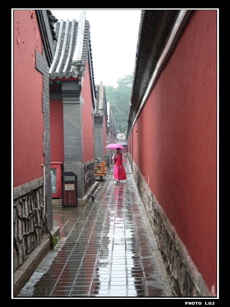 雨巷风情 摄影 鹿江