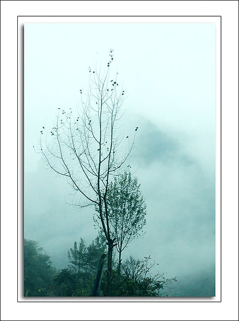 烟雨空濛 摄影 与世无争