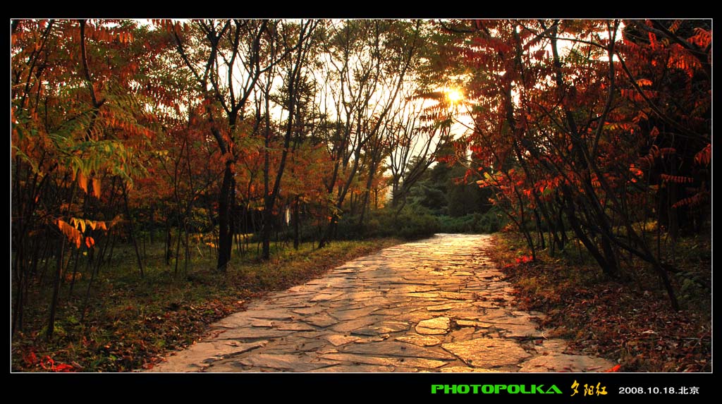 夕阳下 摄影 photopolka