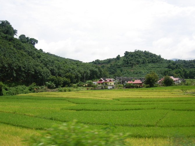 乡间田地 摄影 小雨点儿