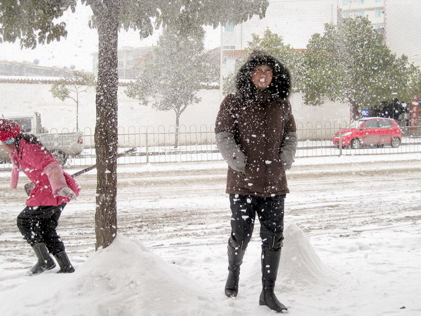 飞雪 摄影 小小花