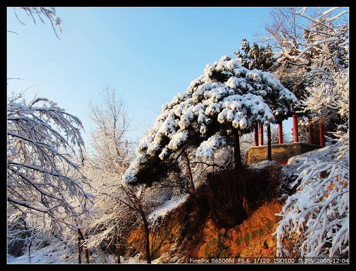 雪后小景 摄影 杯莫停