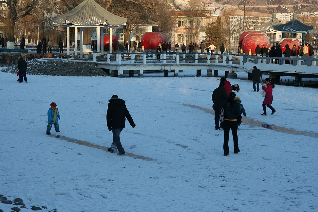 雪后 摄影 手不抖