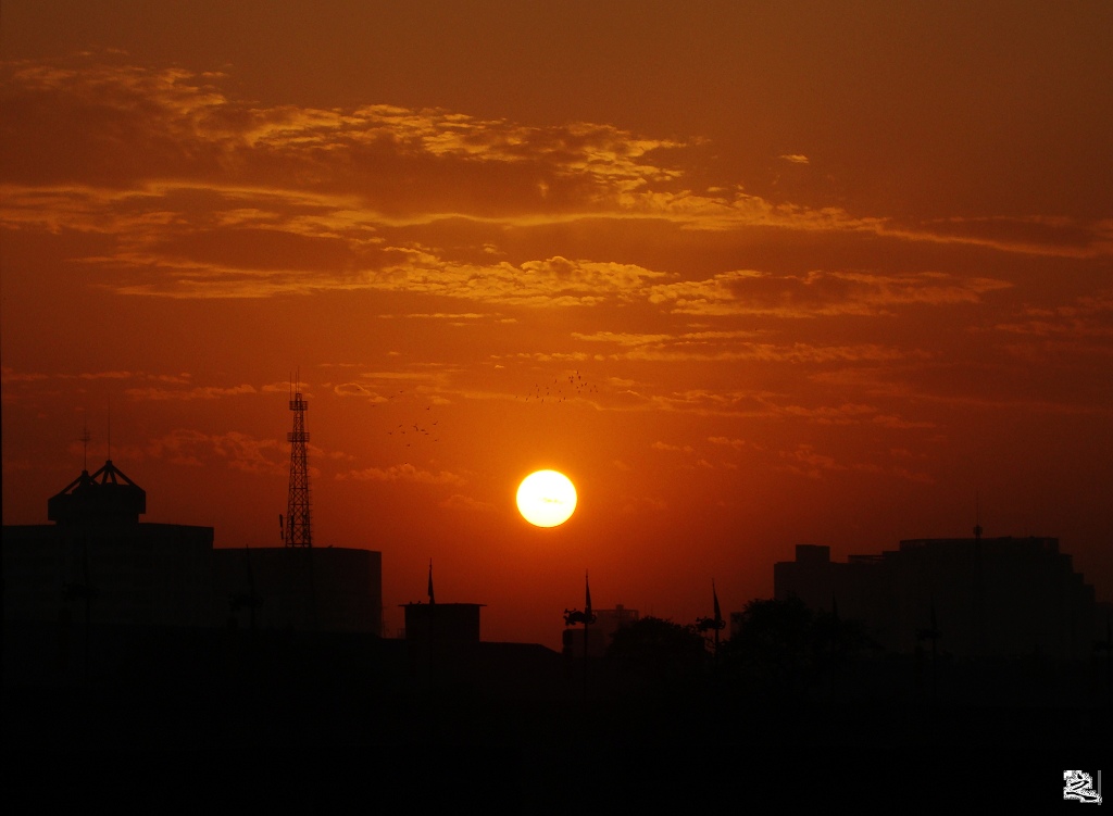 夕阳晚霞鸽子 摄影 绿色自然