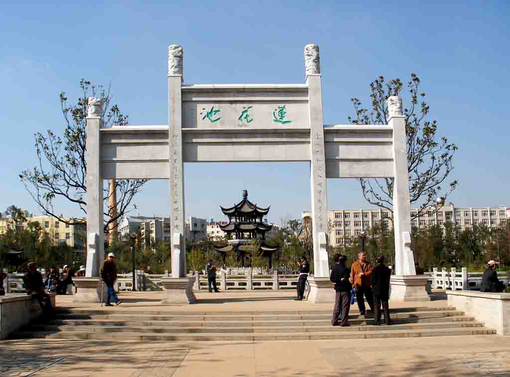 公园 摄影 莲心