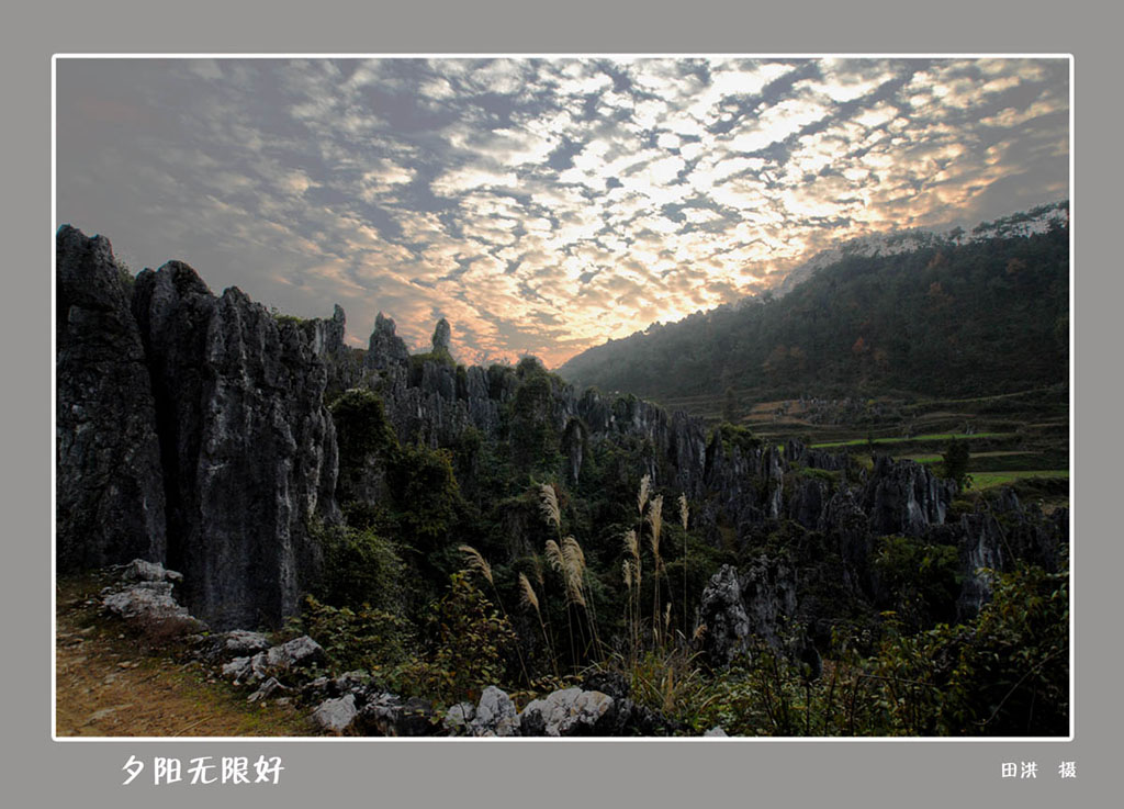 夕阳无限好 摄影 田洪