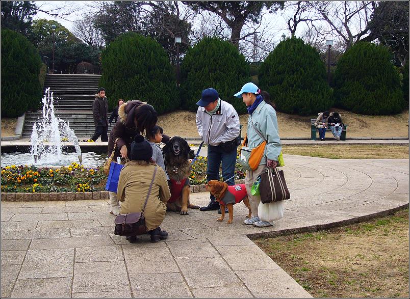 日本横滨掠影（37） 摄影 西风胡杨