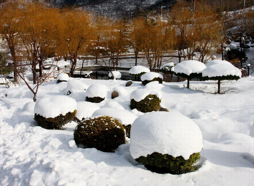 风雪绘就（6）依恋 摄影 潜望镜002