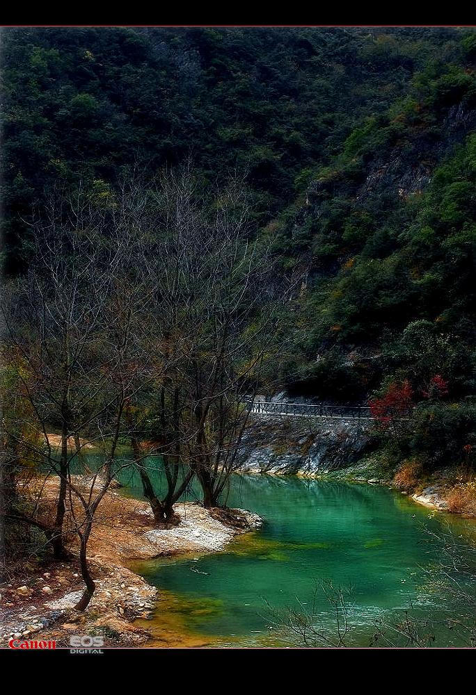 五龙河 摄影 小鸡看草原