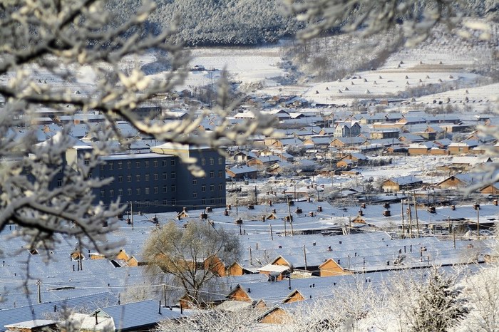 雪 摄影 枫楠