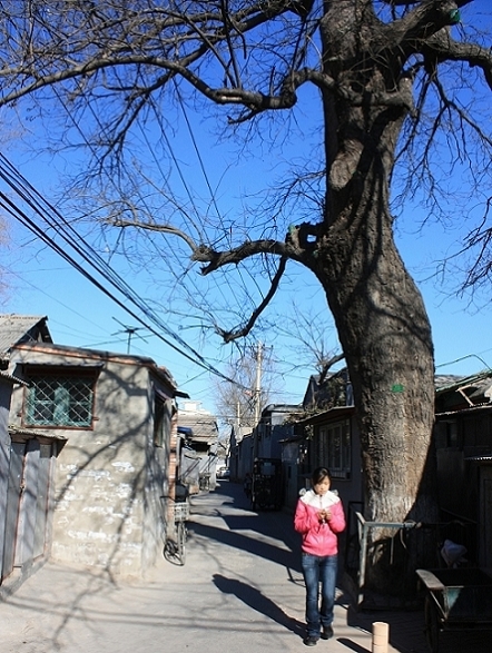 北京胡同 8 摄影 锦绣江山