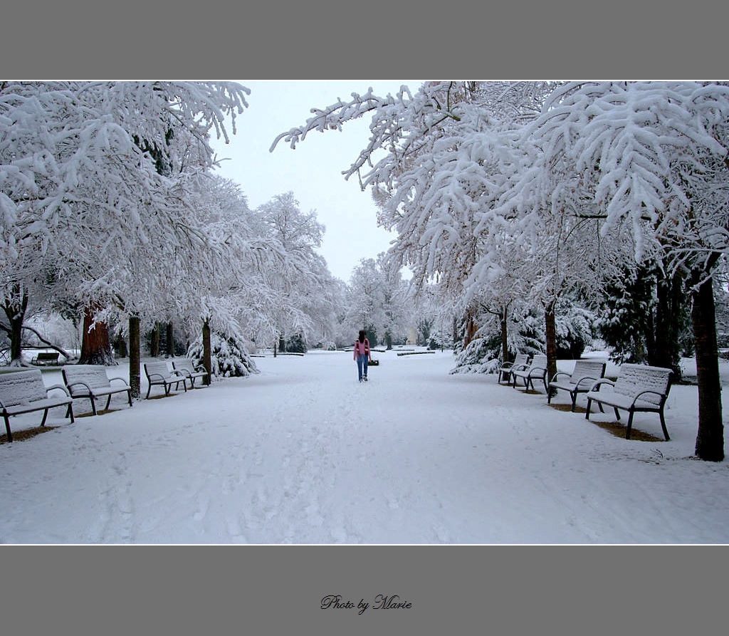 冬雪2008-4 摄影 飘飘Marie