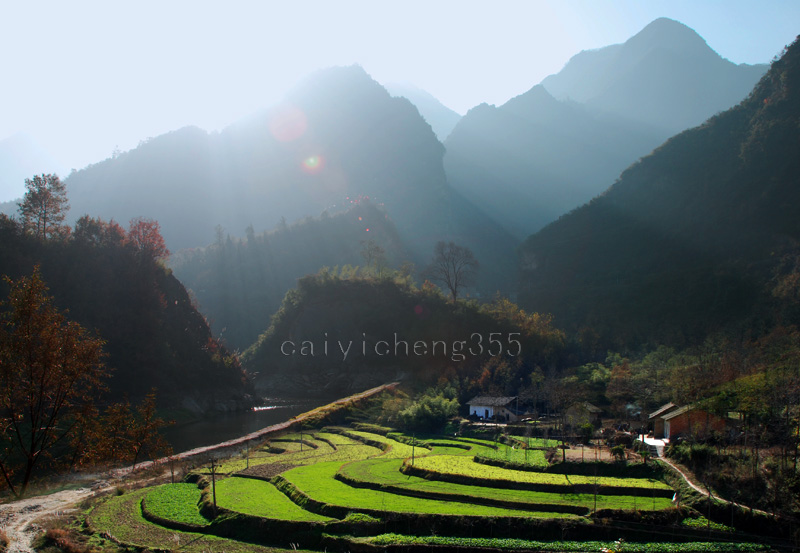 山村冬阳 摄影 厨师解围腰