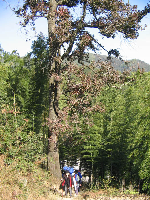 玉华山之旅 摄影 马兰草