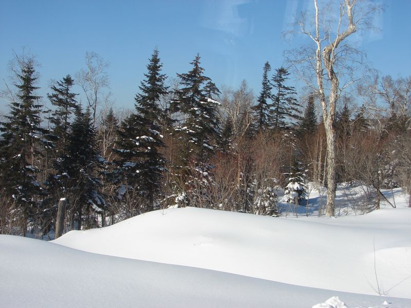 林海雪原 摄影 华妍