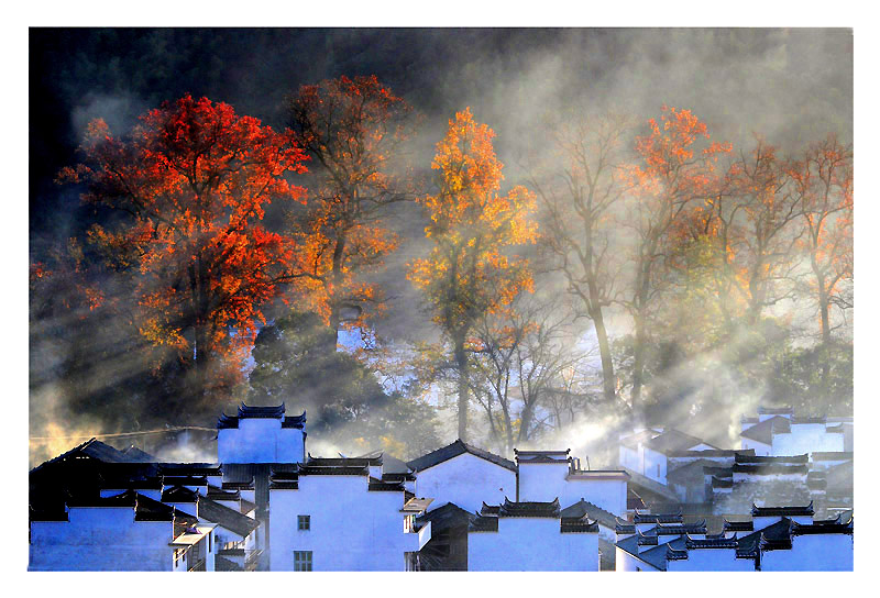 婺源.程村 摄影 风雪白狐