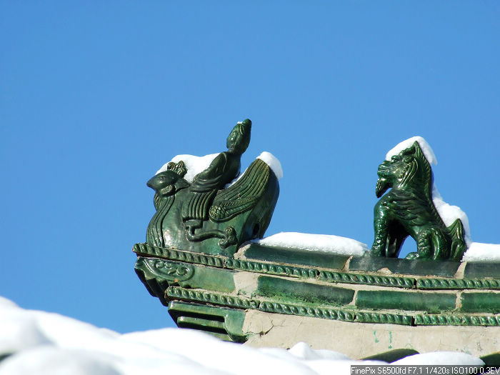 雪后小景 摄影 杯莫停