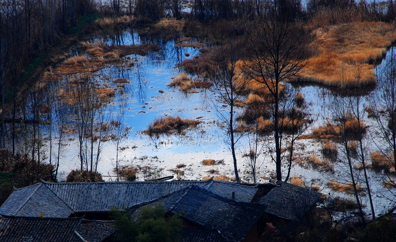 山村秋色 摄影 瓦檐滴雨