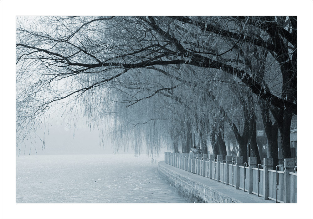 冬 摄影 雪山红